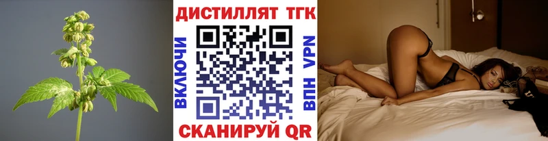 дарнет шоп Снежинск ТГК концентрат