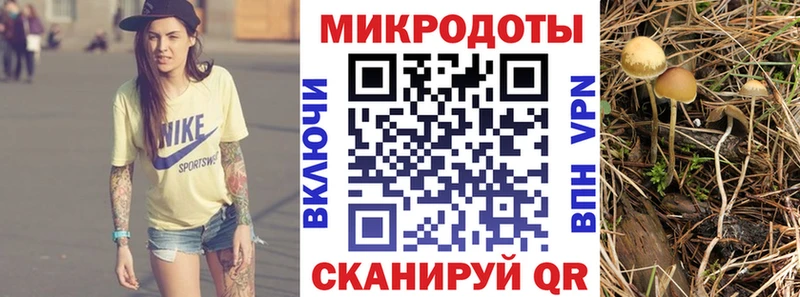 купить  сайты  Снежинск  Псилоцибиновые грибы Psilocybe 