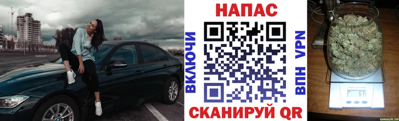 Канабис конопля Снежинск